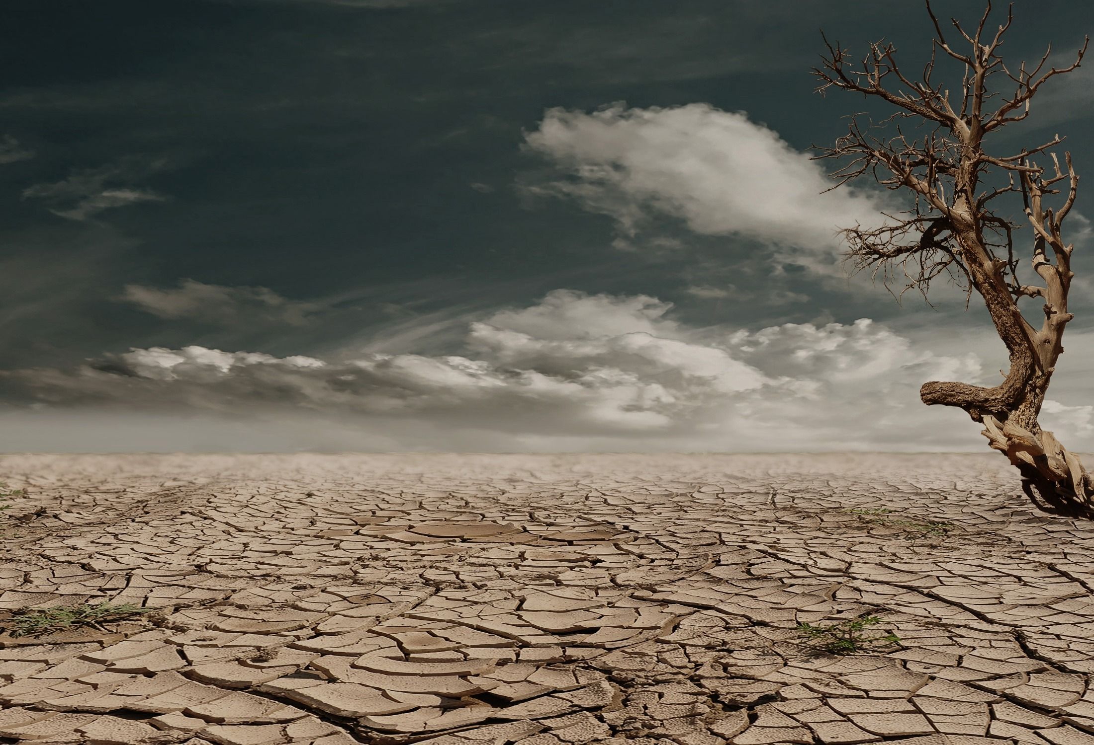ENSO 2026–27: la dinamica El Niño / La Niña che ridisegna le filiere agroalimentari globali