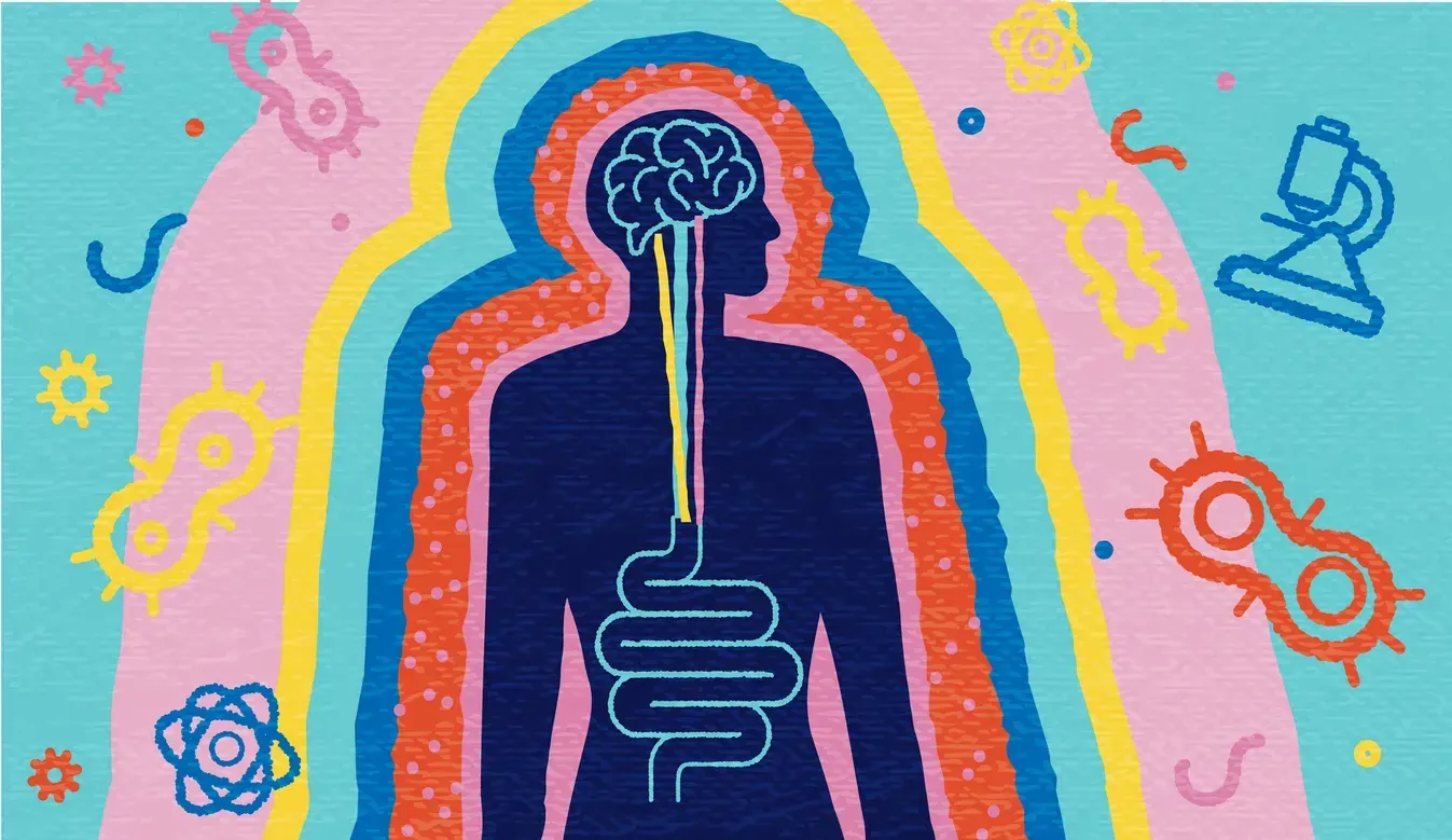 Gut Health Hub