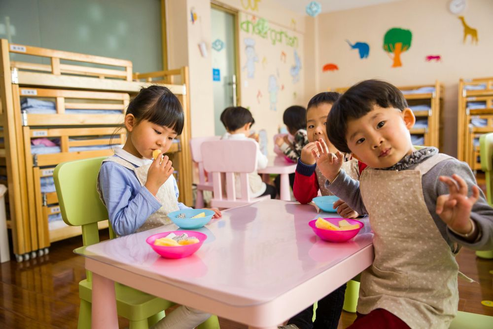Educazione alimentare: conoscere il cibo per dare forma alle scelte 