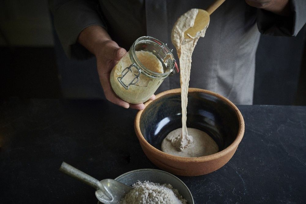 L’impatto della temperatura di fermentazione sul lievito madre