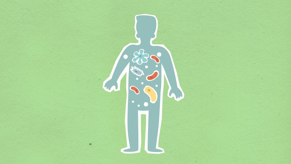 Salute intestinale: il ruolo del microbioma nel benessere fisico e mentale