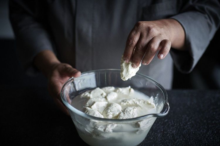 L’impatto dei parametri di rinfresco sul lievito madre e sulla qualità del pane